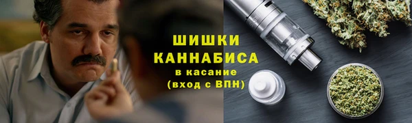 амф Арсеньев
