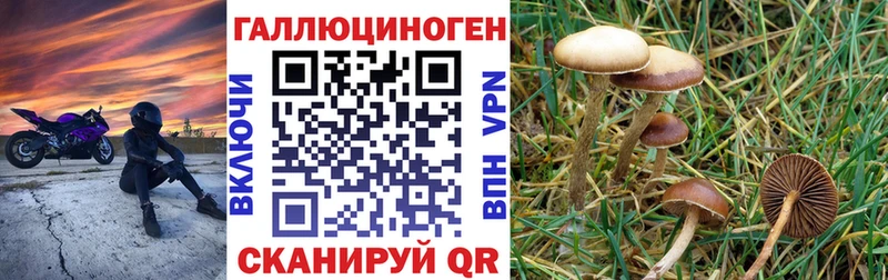 Галлюциногенные грибы прущие грибы  Ногинск 